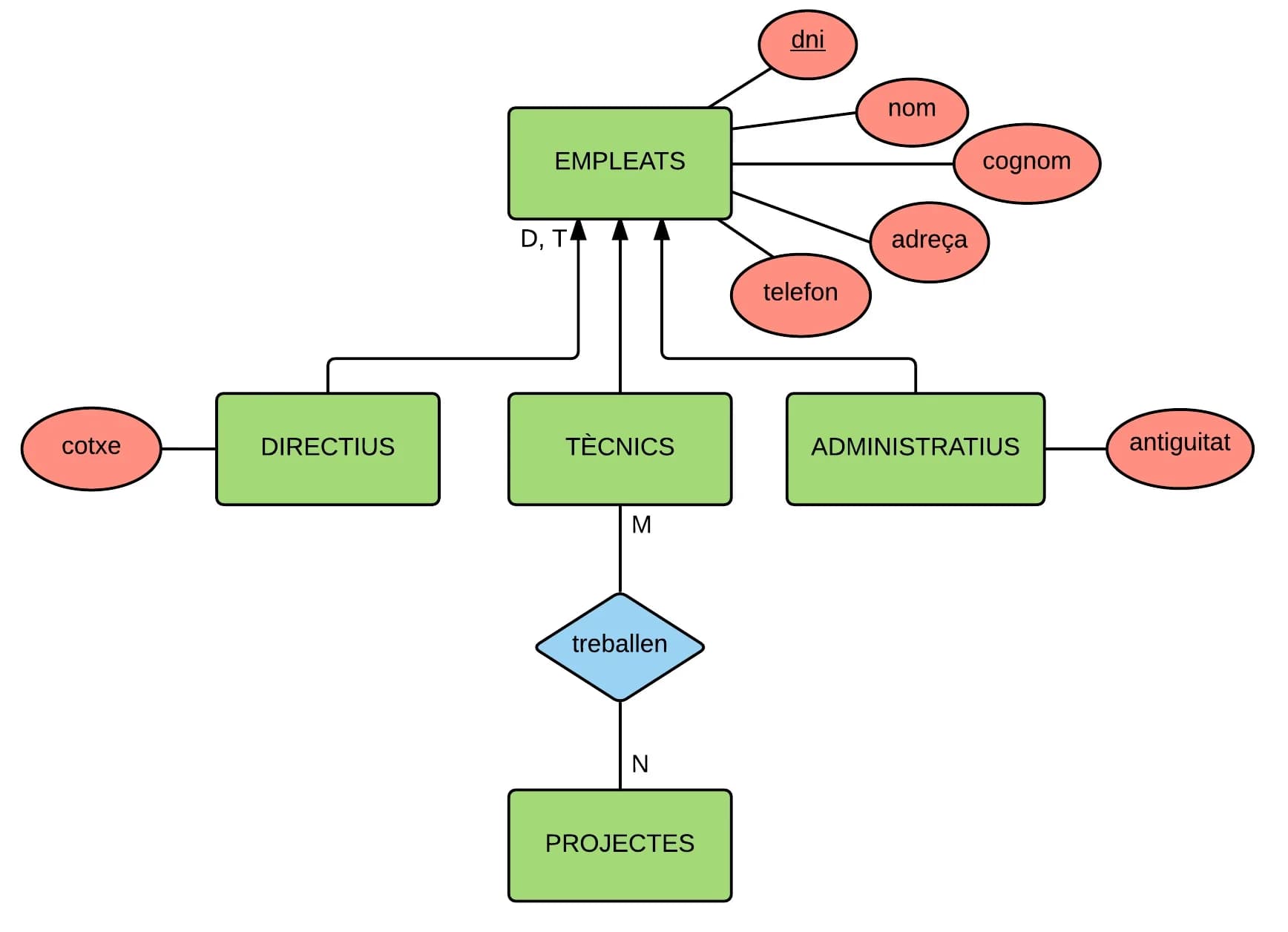 ER Diagram