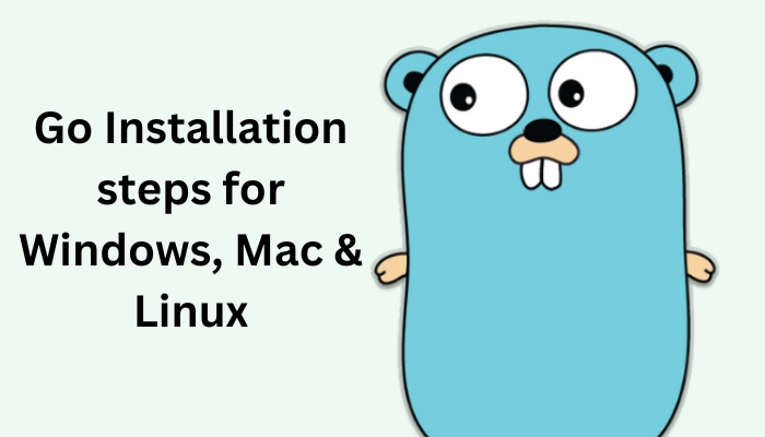 Go Installation steps for Windows, Mac & Linux