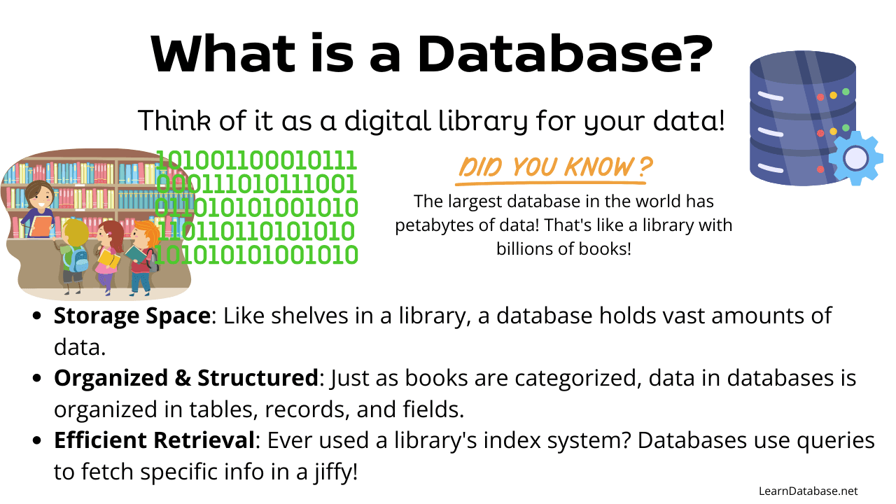 What is a Database