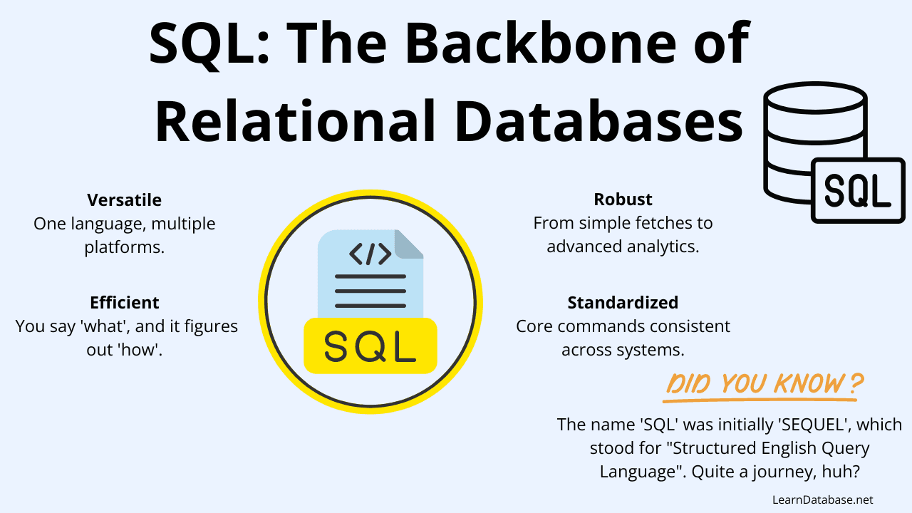 sql database